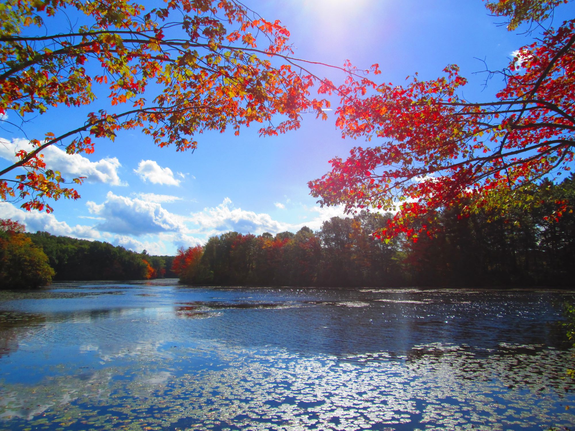 Attleboro, MA Shutterstock 569513830 Resized