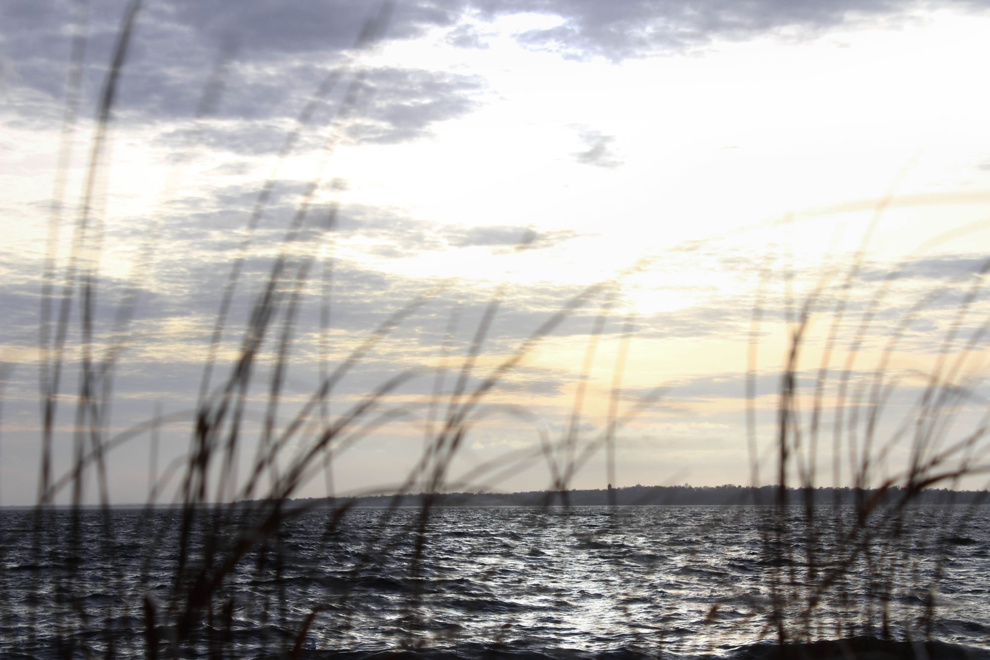 Barrington Shutterstock 1015110397 Resized