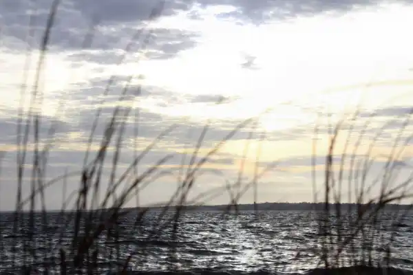 Barrington Shutterstock 1015110397 Resized