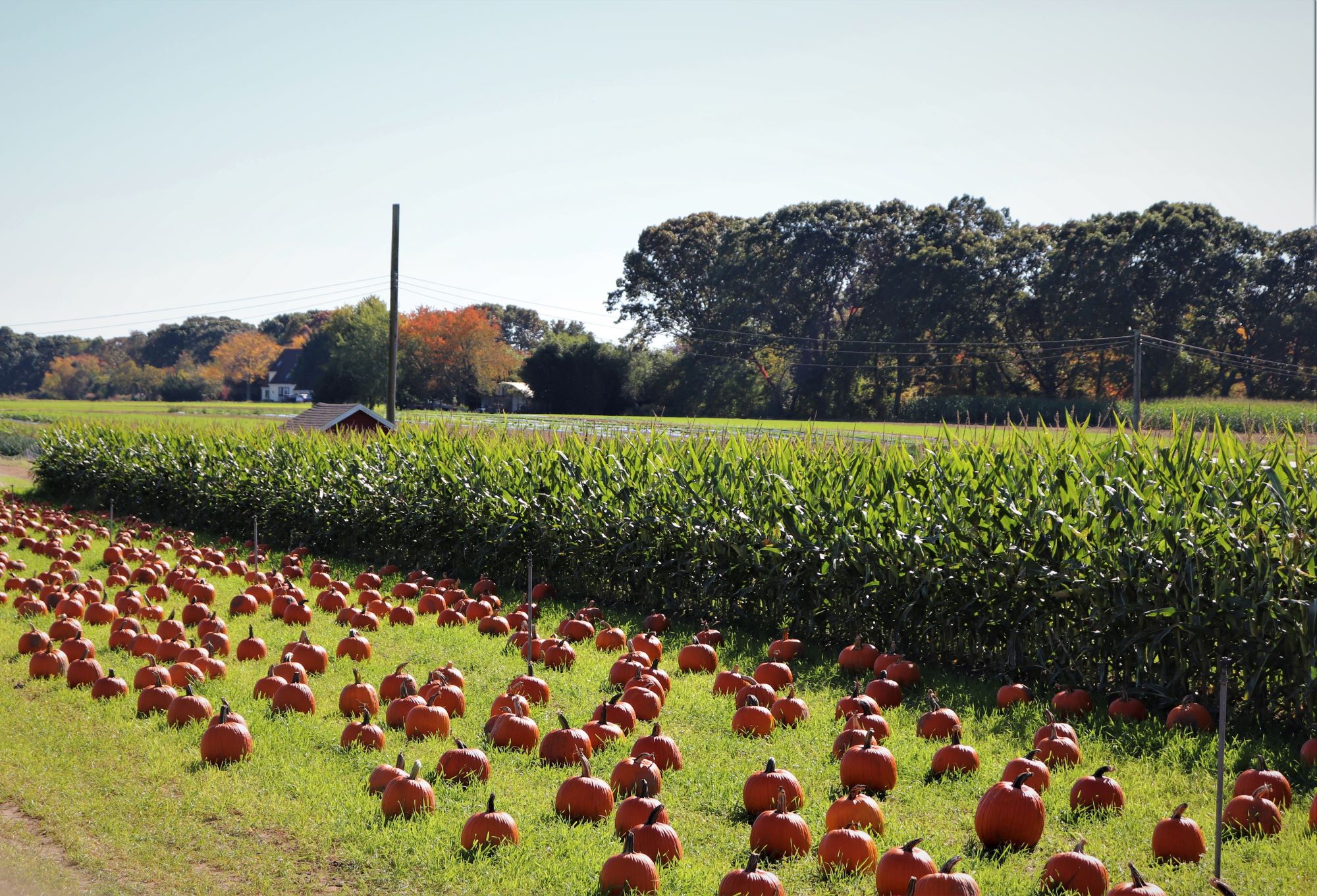 Seekonk Shutterstock 2480138515 Resized